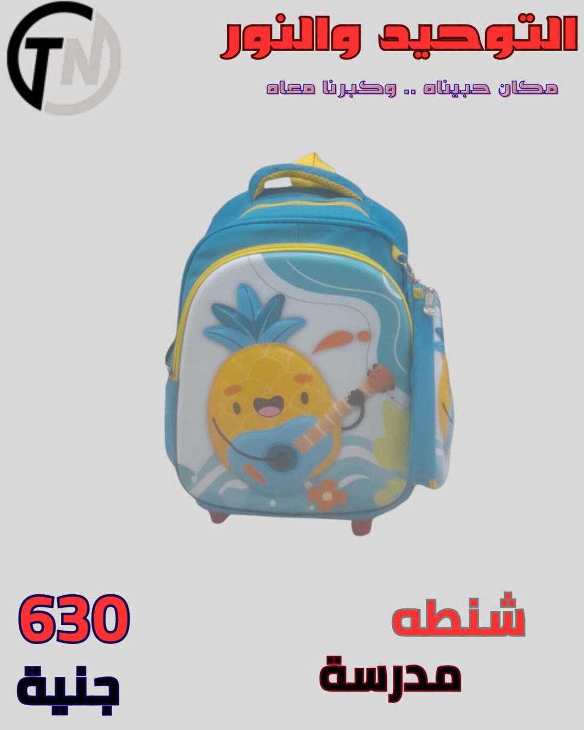 عروض التوحيد والنور 17 يوليو - 17 أغسطس 2026