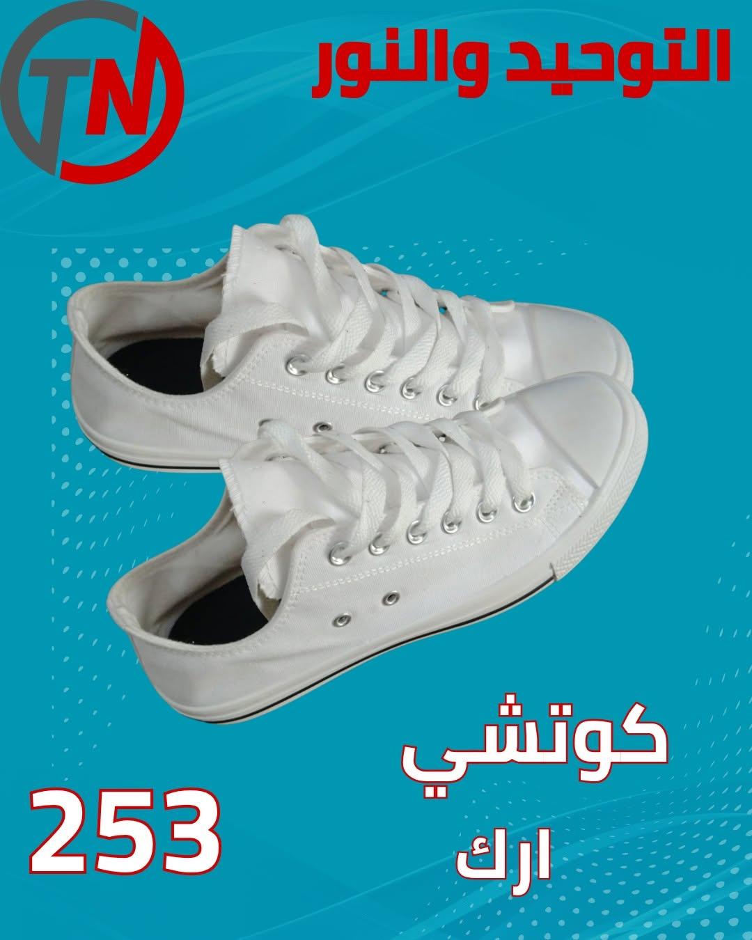 عروض التوحيد والنور صفحة 11