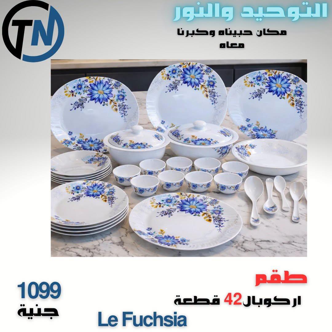 عروض التوحيد والنور صفحة 13