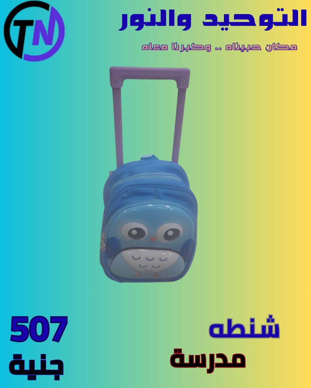 عروض التوحيد والنور صفحة 29