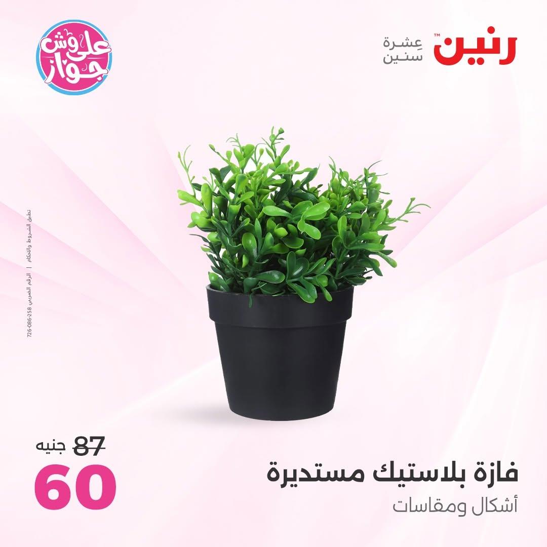 عروض رنين صفحة 51