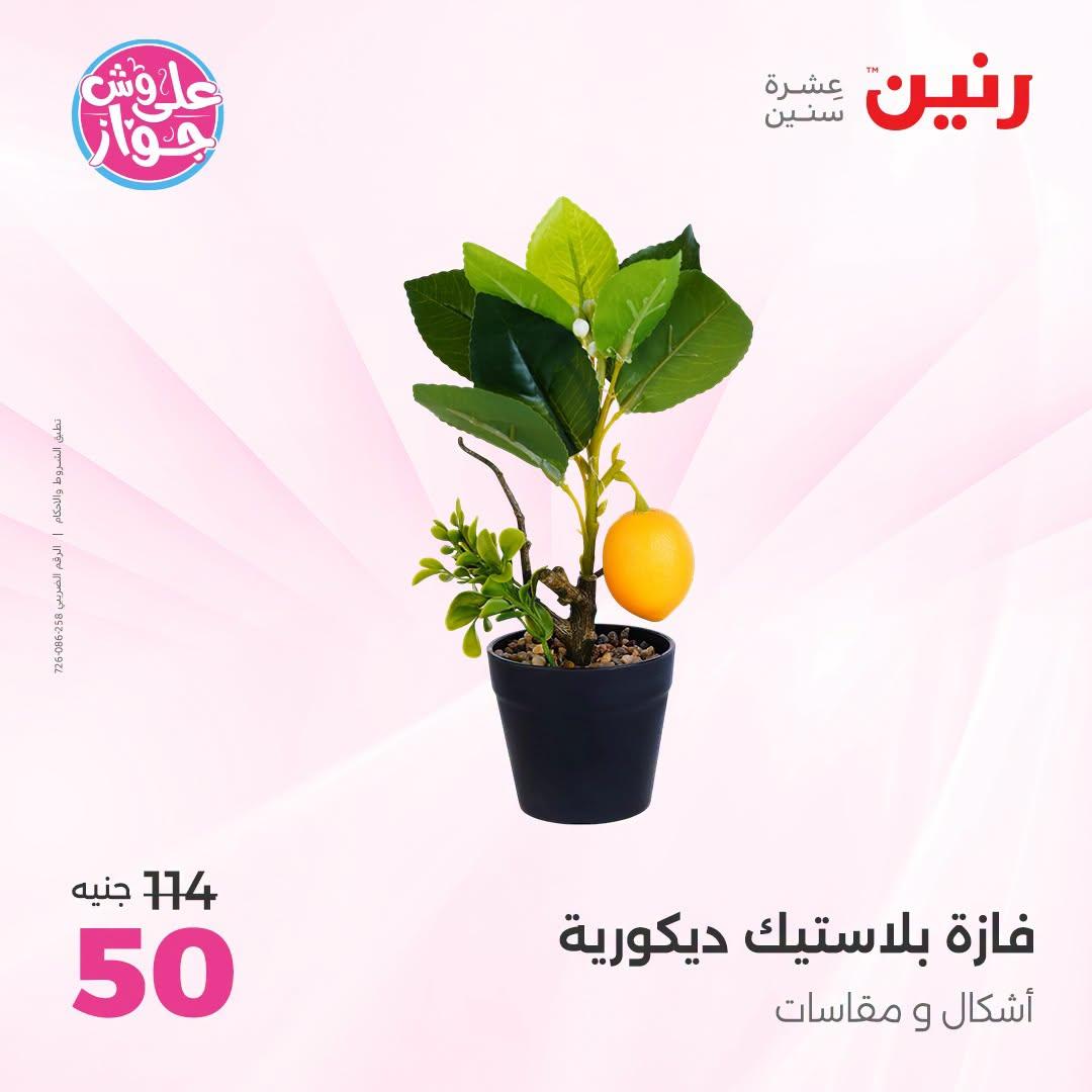 عروض رنين صفحة 62