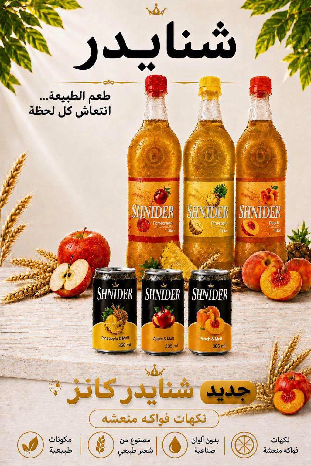 عروض أولاد المحلاوي صفحة 25
