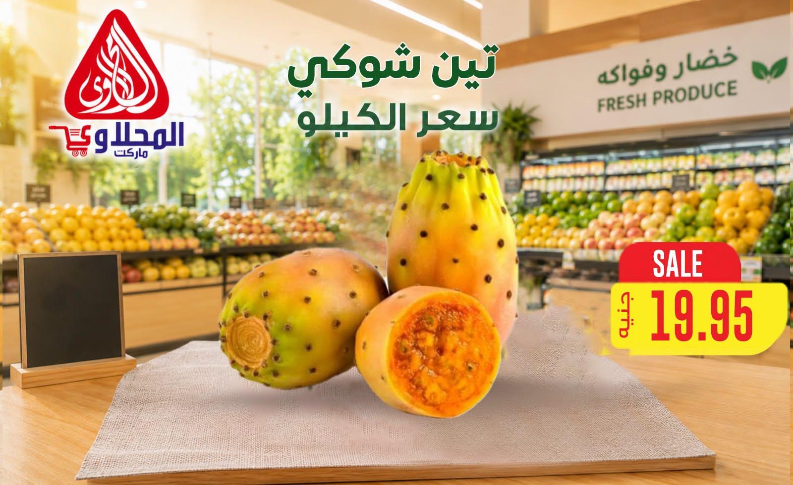 عروض المحلاوي صفحة 17