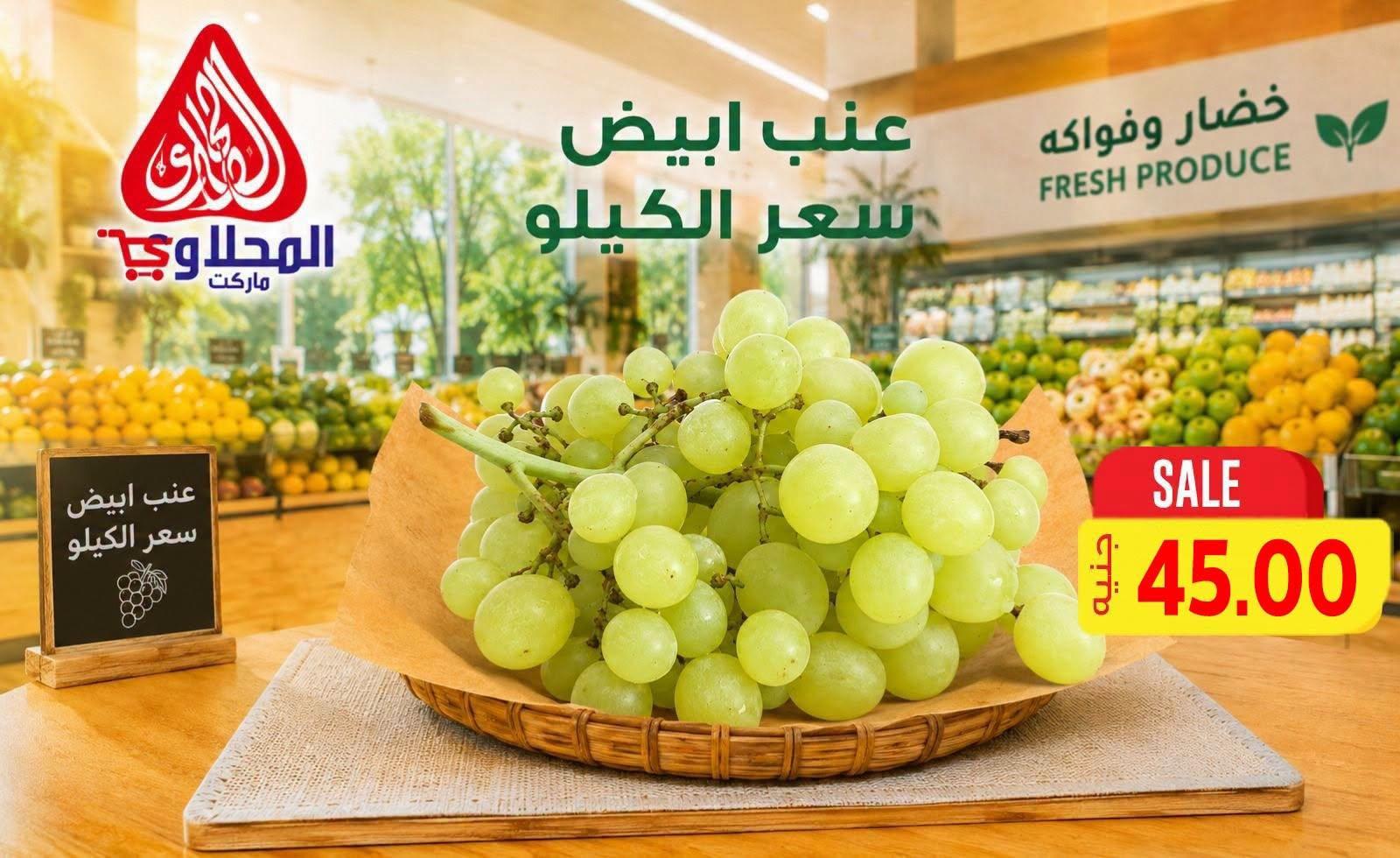 عروض المحلاوي صفحة 10