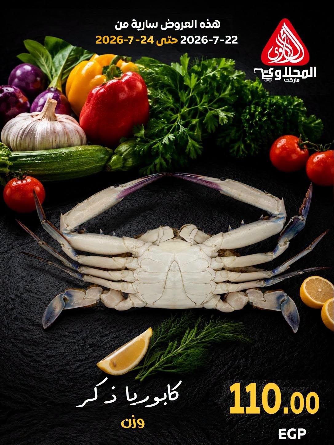 عروض المحلاوي صفحة 13