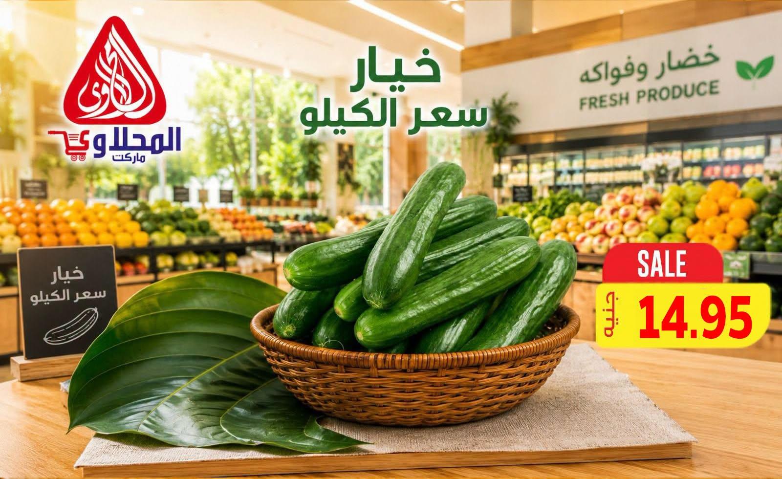 عروض المحلاوي صفحة 13