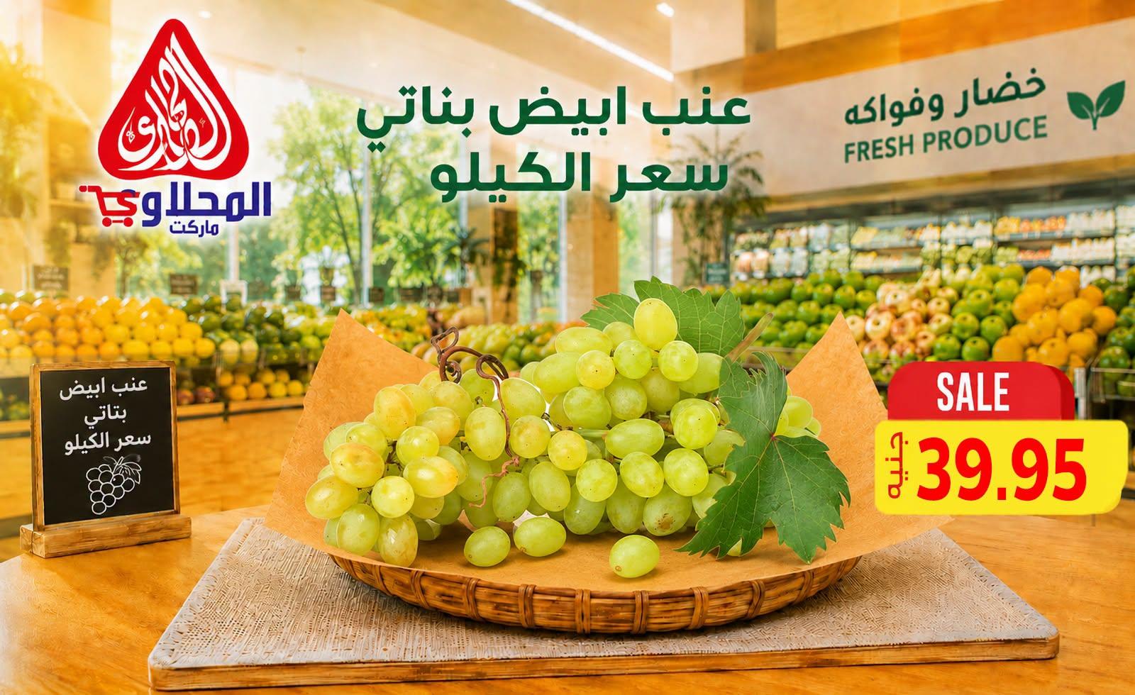 عروض المحلاوي صفحة 19