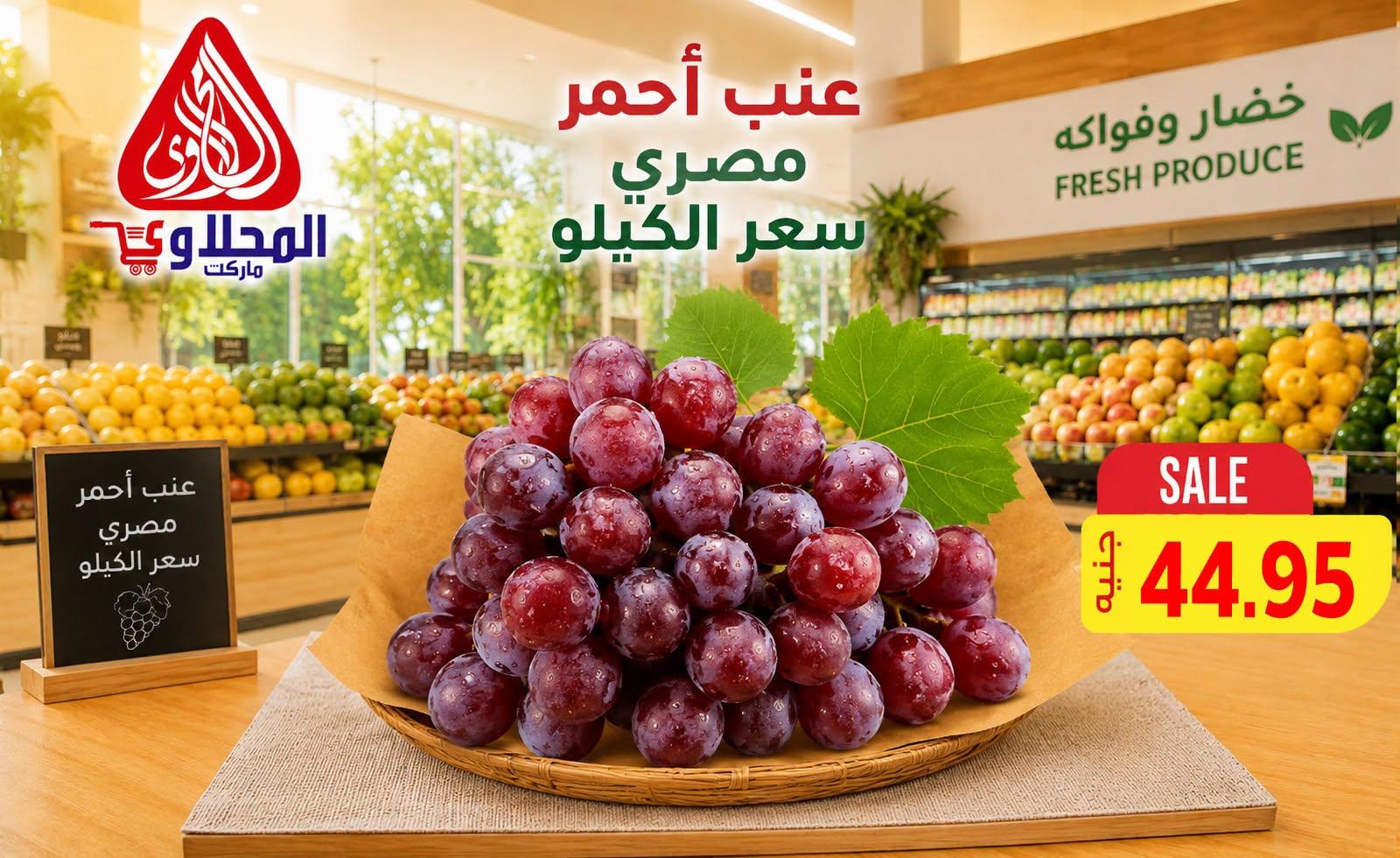 عروض المحلاوي صفحة 21